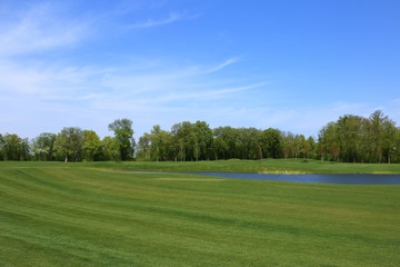 The golf course. Lawn with forest line and blue sky.