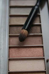 Make up brush and pallette © Agata