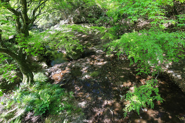 香川県小豆島町　寒霞渓　戛玉渓（素麺流し）