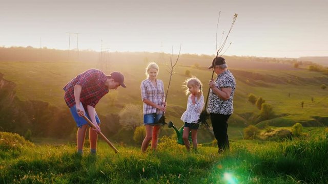 A friendly family plant a tree together. Several generations work together. On a pictorial background before sunset. Steadicam shot