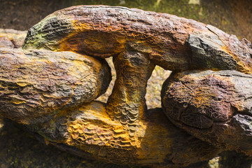 Large rusting chain.