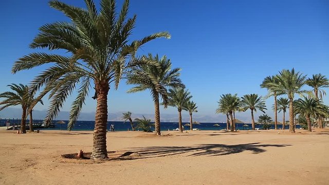 Tropical resort in Tala Bay, Hashemite Kingdom of Jordan. Palms on the beautiful beach. Red sea, gulf of Aqaba. View on Israel and Egypt in the distance