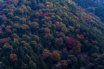 遠山郷の秋