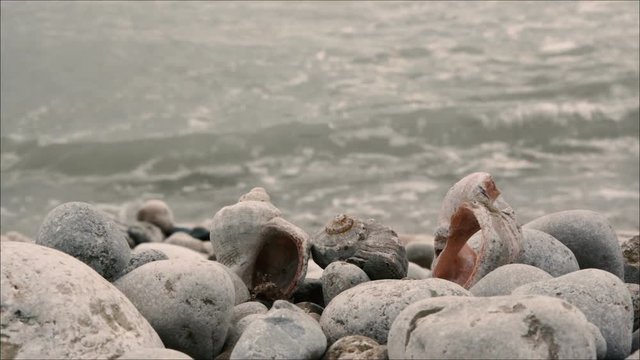 Child's hand takes a seashell on the background of the sea