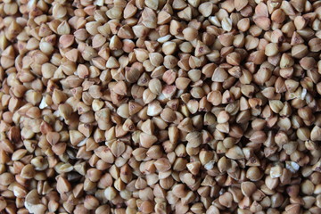 Fototapeta premium buckwheat grain