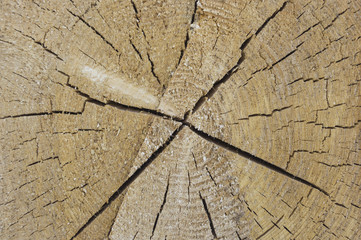 Background structure of wood with cracks