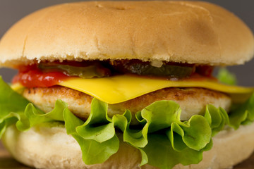 Tasty cheeseburger closeup