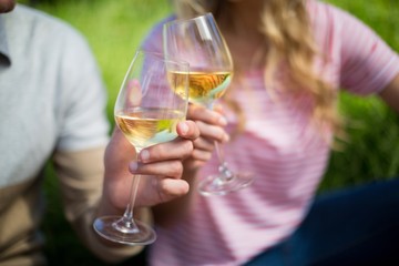 Couple toasting white wine glasses