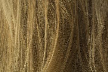 Naklejka premium Hair Texture
