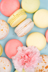 Top view of colorful fresh macarons background with pink flower