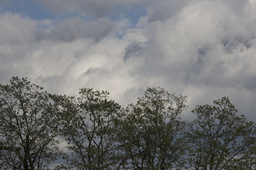 Obraz premium Clouds passing by on an early Spring day (Photo by Jeremy Hogan)