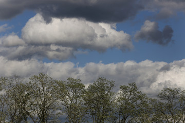 Obraz premium Clouds passing by on an early Spring day (Photo by Jeremy Hogan)