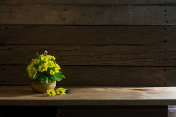 Beautiful yellow flowers with green leaf in the ceramics vase put on the plank in dim light room