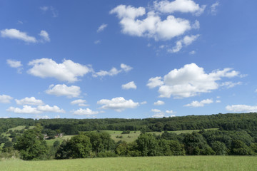 Fototapeta na wymiar English countryside.