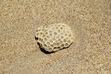Travel to Koh Lanta, Thailand. The stone on the sand beach.
