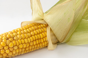 Corncob, maize, corn ear © UllrichG