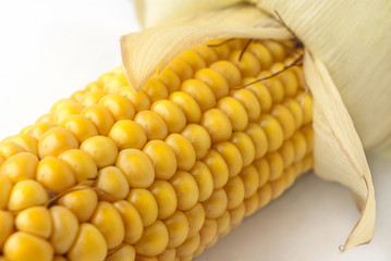 Corncob, maize, corn ear