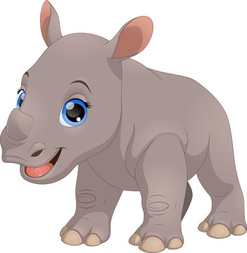 Cute little rhino