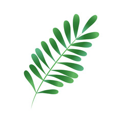 green textured leaf icon image vector illustration design