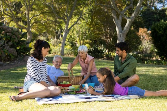 Happy family having picnic in the park