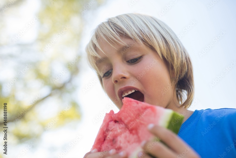 Wall mural Boy having watermelon in the park