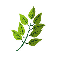 green textured leaf icon image vector illustration design