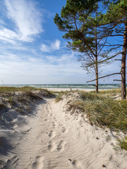 Weg zum Ostseestrand