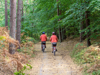 Obraz premium Fahrradtour durch den Wald