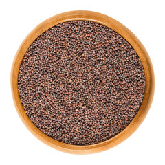 Broccoli seeds in wooden bowl. Dried seeds of Brassica oleracea, an edible green cabbage plant. Used to make Broccoli sprouts. Isolated macro food photo close up from above on white background.