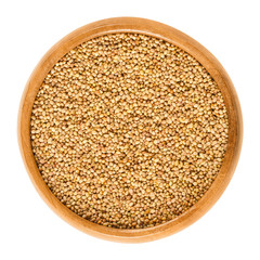 Crimson clover seeds in wooden bowl. Trifolium incarnatum, also known as Italian clover. Used for making protein-rich clover sprouts. Isolated macro food photo close up from above on white background.