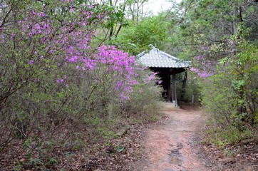 京都　御室八十八ヶ所霊場