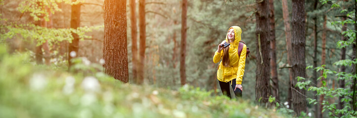 Landscape view on the pine forest with woman hiking in yellow raincoat. Cropped image for wide...