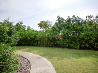 Pathway along side with trees and lawn in the park.