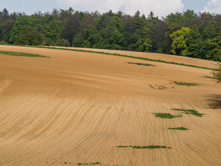 Ackerbau