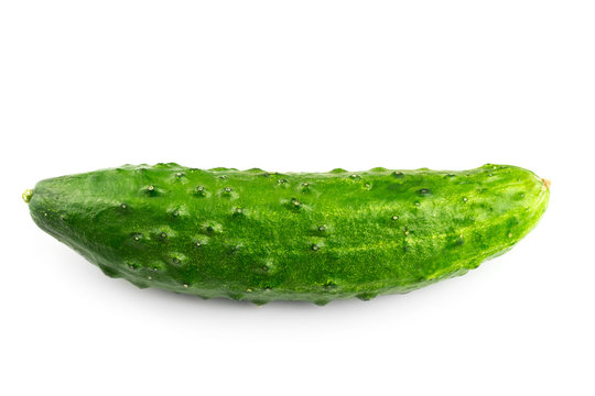 Fresh cucumber isolated on white background, close-up view
