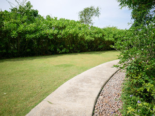 Pathway along side with trees and lawn in the park.