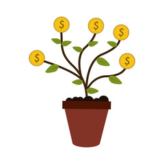 money plant in pot icon image vector illustration design