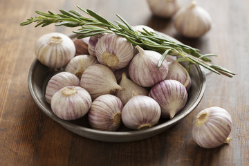 Garlic