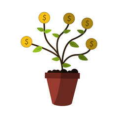 money plant in pot icon image vector illustration design
