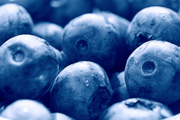 fresh berries blueberries close-up scattered black and white