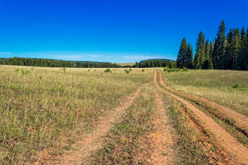 dirt road in the field