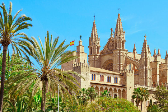 Palma de Mallorca Spanien Kathedrale mit Palmen am Mittelmeer