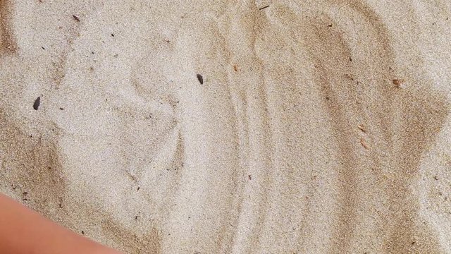 Closeup of hand of tanned little child making handprint in sand on river beach. Real time full hd video footage.