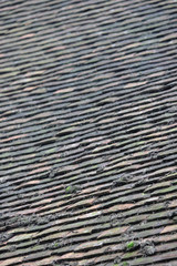 Roof tiles with moss covering