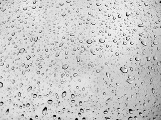 close up shot on droplets of the rain