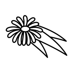 Obraz premium flower icon over white background. vector illustration