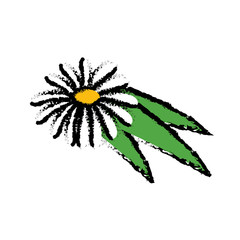 flower icon over white background. vector illustration