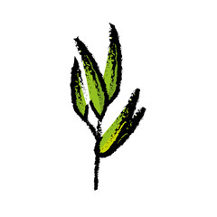 bamboo leaves icon over white background. vector illustration