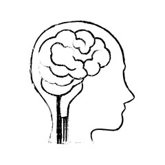 head with human brain icon over white background. vector illustration