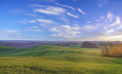 Fototapeta na wymiar Panorama of a green, spring field in the morning light